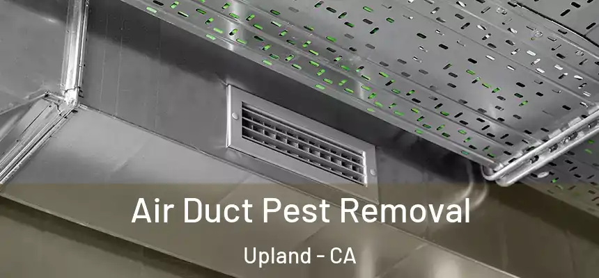 Air Duct Pest Removal Upland - CA