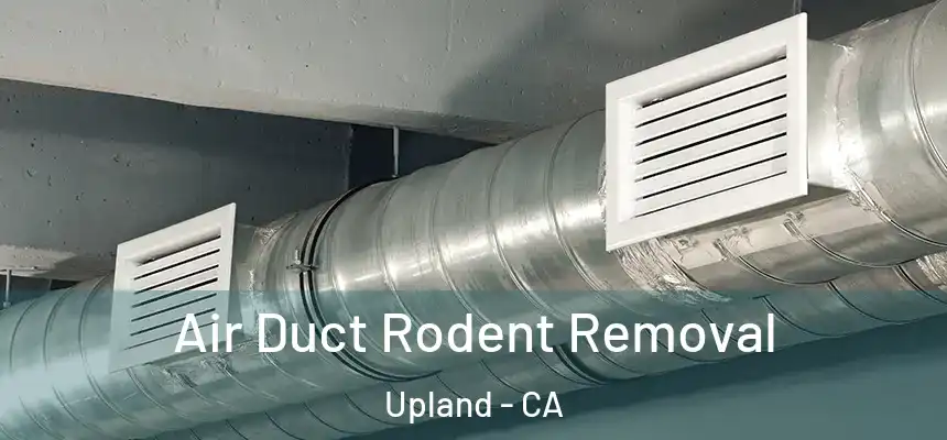 Air Duct Rodent Removal Upland - CA