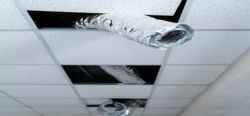 Affordable HVAC Sanitizing After Pest Removal in Upland