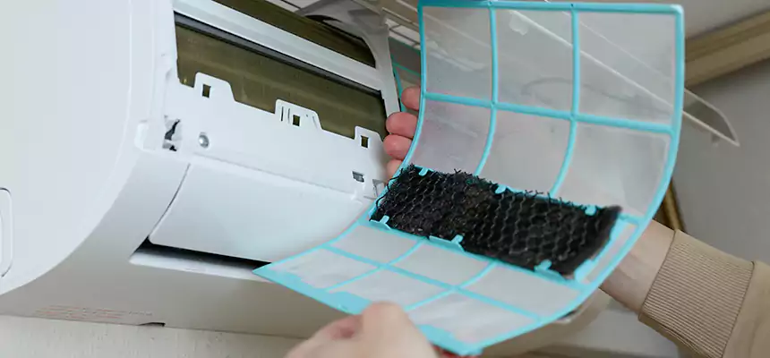 Gentle Ductwork Odor-Control Pet Dander Duct Cleaning in Upland, CA