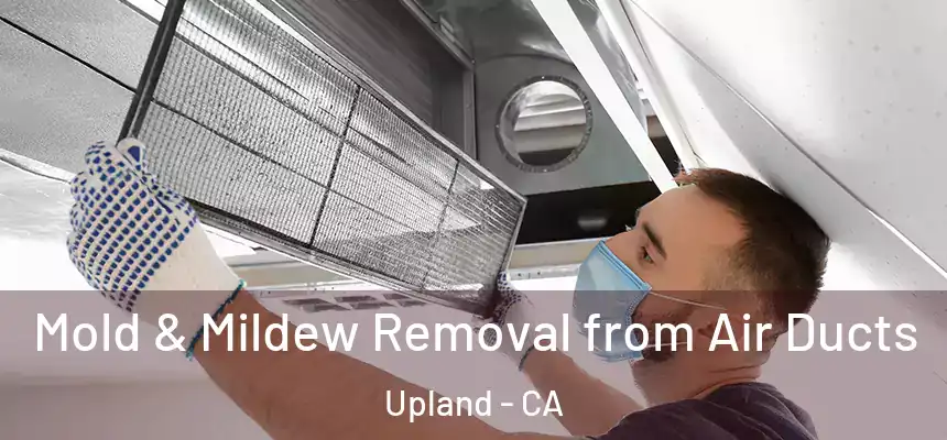 Mold & Mildew Removal from Air Ducts Upland - CA