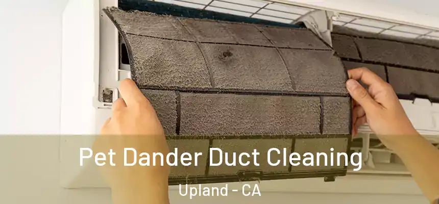 Pet Dander Duct Cleaning Upland - CA