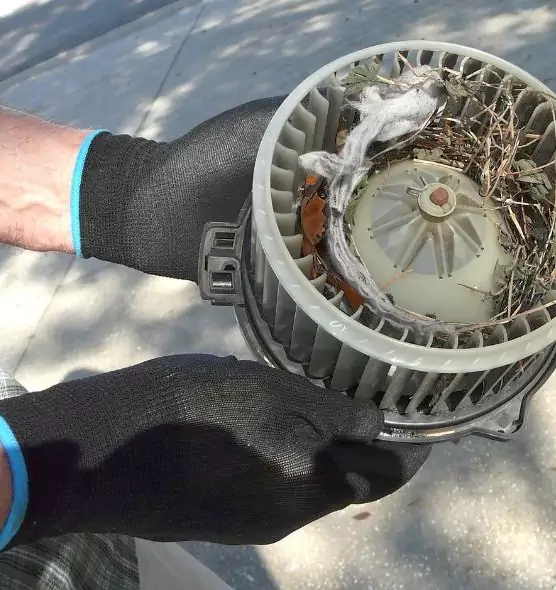 About Air Duct Rat Removal in Upland, CA