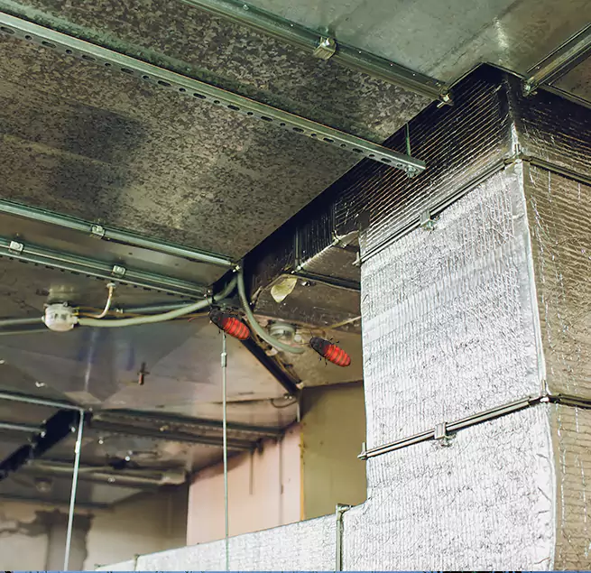 Why Homeowners & Businesses Trust Us in Upland, CA?